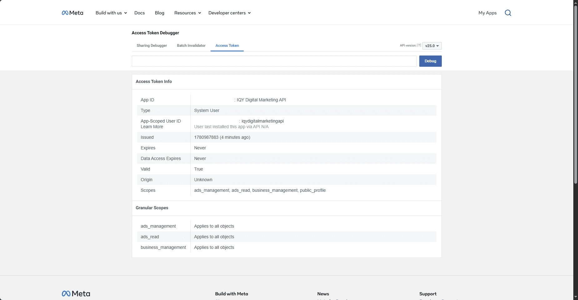 Meta Access Tokens Debugger
